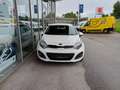 Kia Rio 1,1 CRDi Österreich Edition Weiß - thumbnail 2