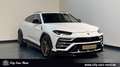 Lamborghini Urus 24 ZOLL-AKRAPOVIC-B&O-360° Wit - thumbnail 7