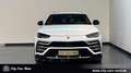 Lamborghini Urus 24 ZOLL-AKRAPOVIC-B&O-360° Wit - thumbnail 8