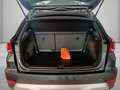 SEAT Arona 1.0 TGI XPERIENCE Verde - thumbnail 8