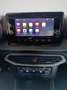 SEAT Arona 1.0 TGI XPERIENCE Verde - thumbnail 11
