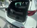 Kia Sportage 177 PS DCT GT-Line 4WD AHK Panorama Navi Leder Sou Weiß - thumbnail 4