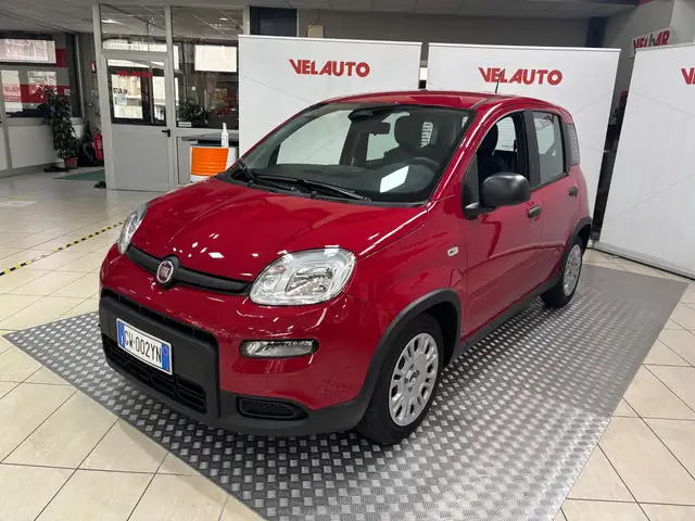 Fiat Panda Pandina 1.0 FireFly S&S Hybrid Pop
