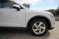 Audi Q3 35 tdi 150CV Business Advanced s-tronic | 2024 Blanc - thumbnail 26