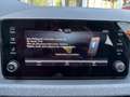 Skoda Scala 1.0 TSI "130 JAHRE"+CLIMATRONIC+5JGARANTIE Grau - thumbnail 25