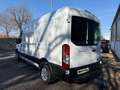 Ford Transit Kasten 350 L3 Trend Weiß - thumbnail 4