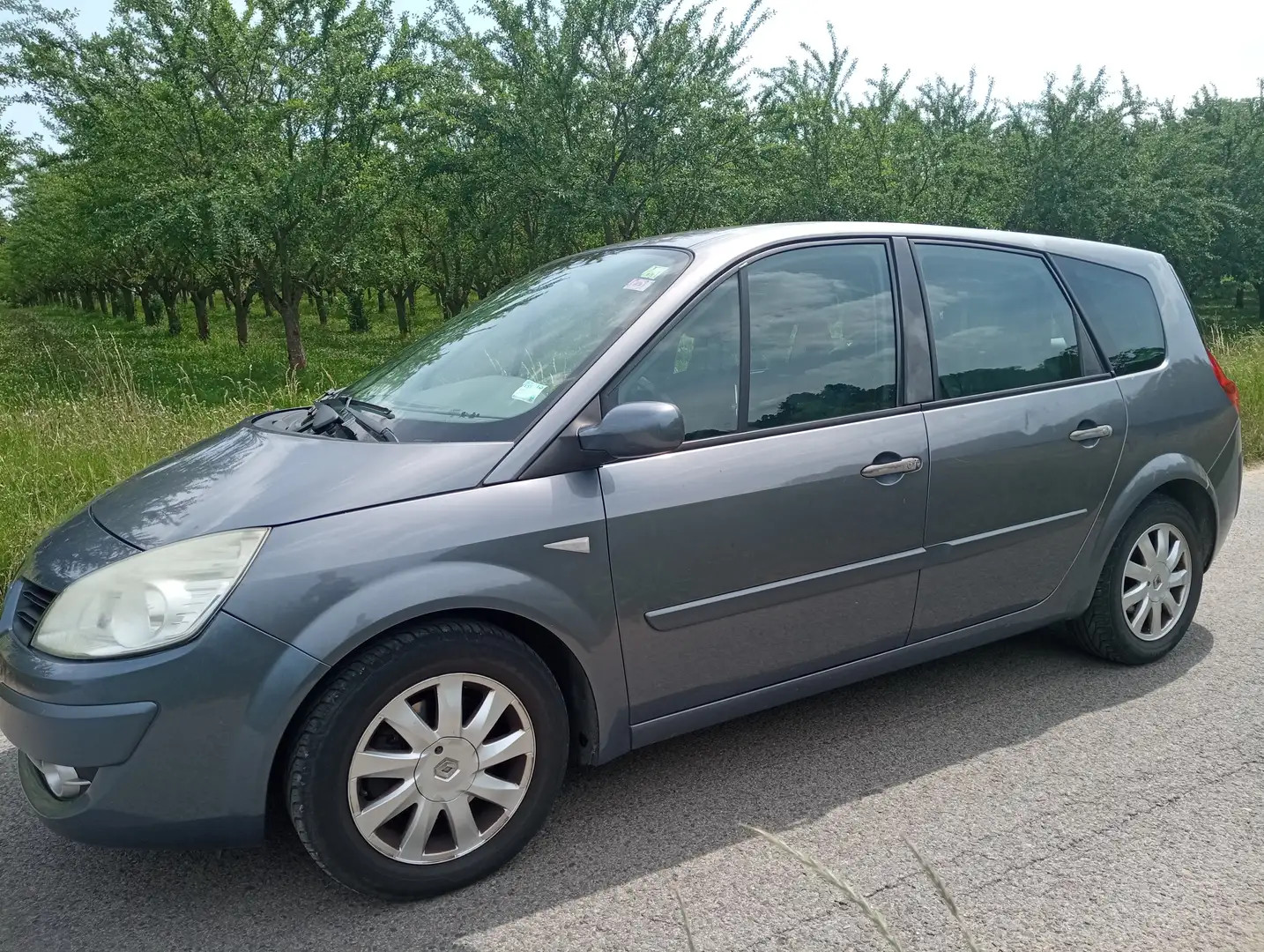 Renault Grand Scenic Grand Scenic 1.9 dCi FAP Exception Bleu - 2
