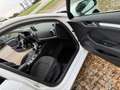 Audi A3 Sportback 1.6 tdi Ambiente 110cv E6 - thumbnail 5