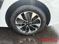 Kia Ceed SW / cee'd SW 1.6 GDI PHEV Vision Carplay Tempomat Kamera DAB Weiß - thumbnail 14