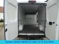 Opel Movano Cargo L4H2  Klima/ Kamera Tempomat / AHK Weiß - thumbnail 14