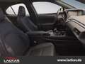 Lexus UX 300e LUXURY*HUD*MarkLevinson*Panorama*LED*10J.Garantie Szürke - thumbnail 13