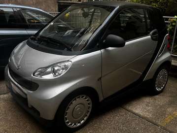pure micro hybrid