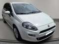 Fiat Punto Punto 5p 1.4 Easy s Weiß - thumbnail 1