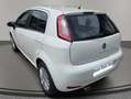 Fiat Punto Punto 5p 1.4 Easy s Weiß - thumbnail 7