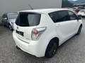 Toyota Verso 2.0 Diesel Pickerl 10/2027 - thumbnail 3
