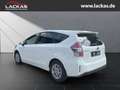 Toyota Prius+ *Comfort*1.8*8-FACH*7-SITZER*15-JH-GARANTIE* Wit - thumbnail 3