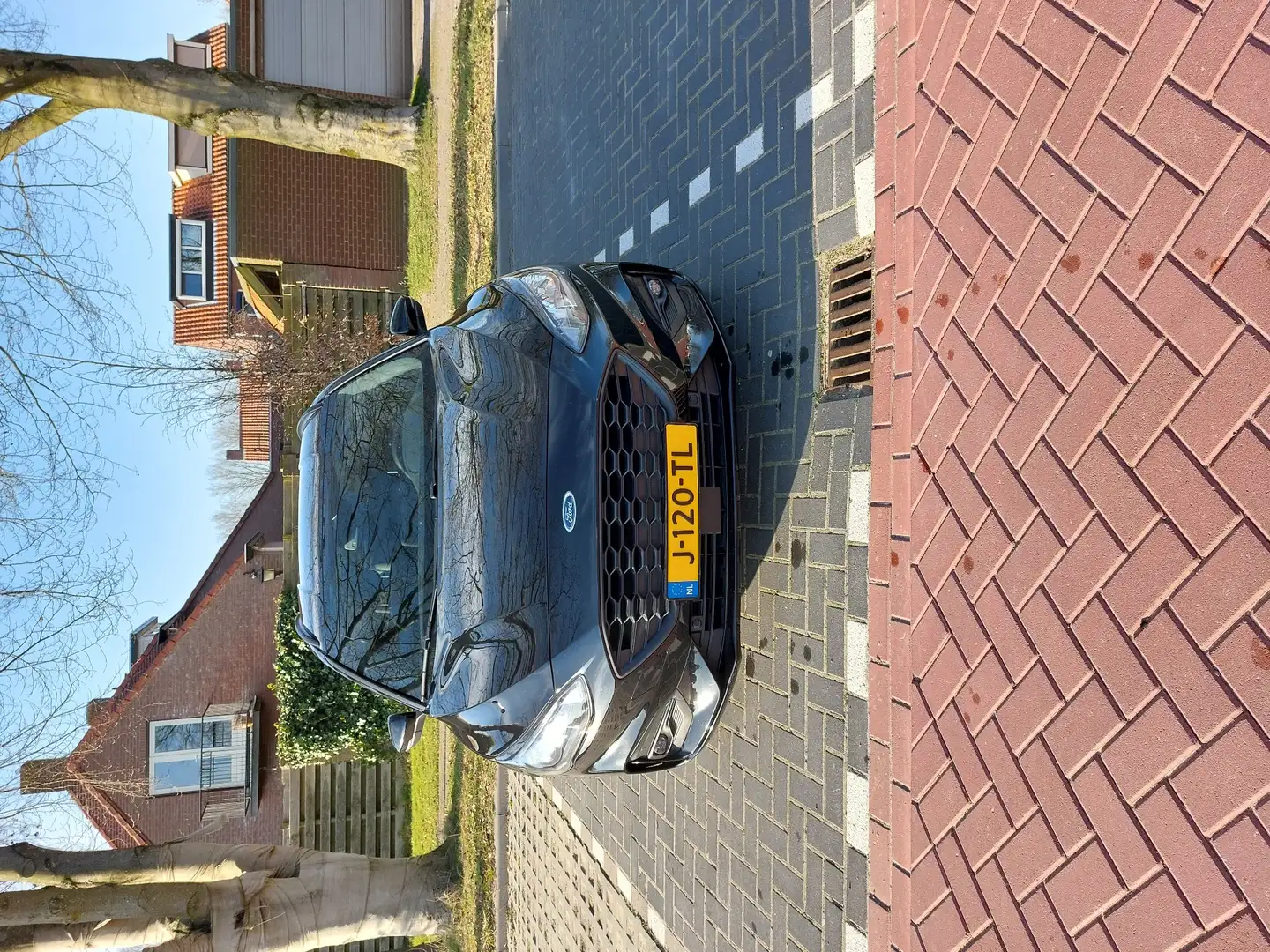 Ford Focus st line 2019, winterp, adapt cruise, trekhaak, Zwart - 2
