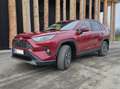 Toyota RAV 4 RAV4 2,5 Hybrid VIP AWD VIP Rot - thumbnail 1