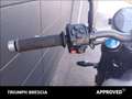 Triumph Speed Twin Abs Argento - thumbnail 10