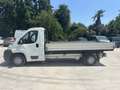 Fiat Ducato cabina singola Bianco - thumbnail 7