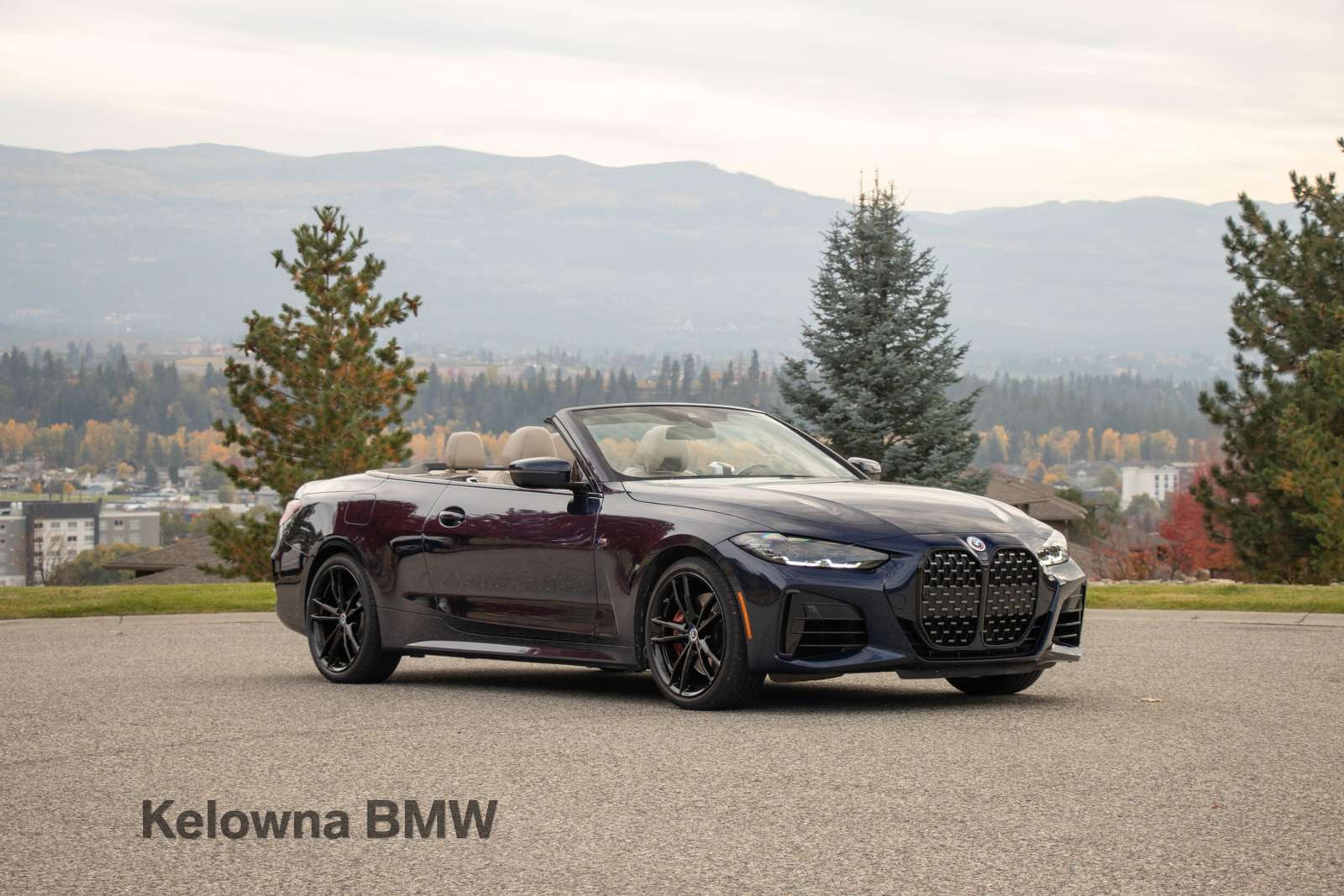 2023 BMW 4 Series Convertible