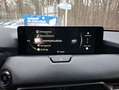 Mazda CX-80 e-SKYACTIV-D 254 M HYBRID AWD HOMURA PLUS 18 Grau - thumbnail 12