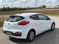 Kia ProCeed / pro_cee'd pro cee'd 1,4 CRDi Titan Last Edition * Neues  ... Weiß - thumbnail 8
