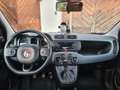 Fiat Panda Panda 4x4 0,9 TwinAir Turbo 85 Grau - thumbnail 6