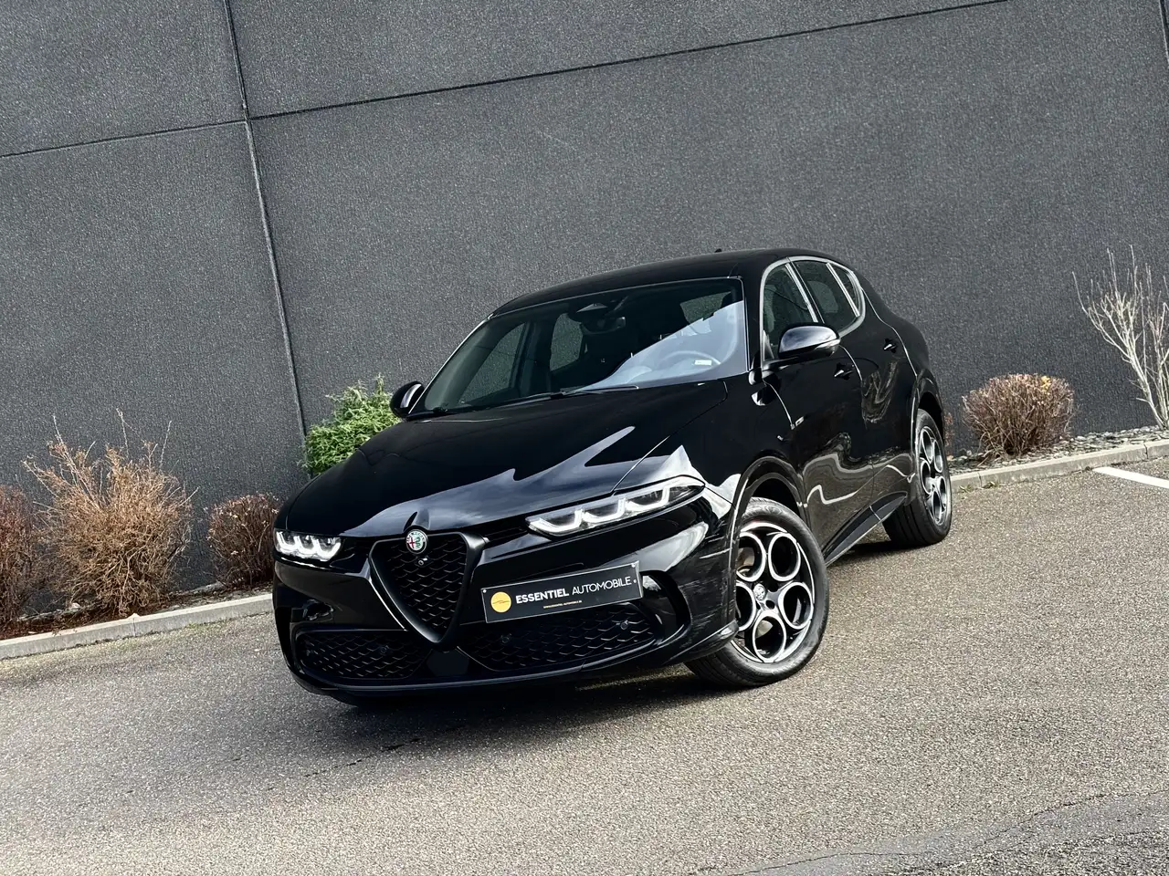 Alfa Romeo Tonale 2025