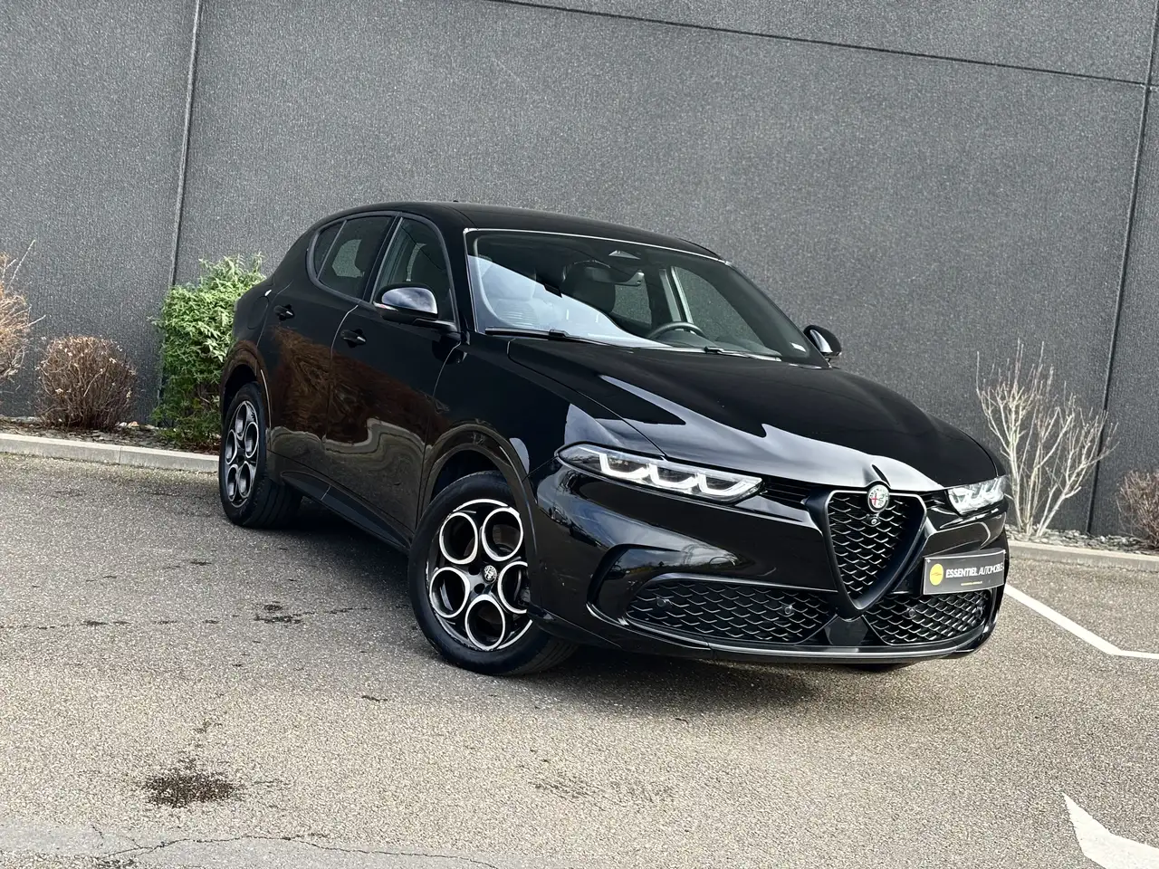 Alfa Romeo Tonale 2025