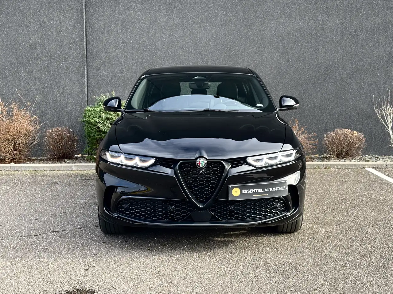 Alfa Romeo Tonale 2025