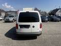 Volkswagen Caddy 2.0TDI Kühlwagen - thumbnail 5