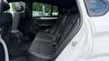 BMW X4 xDrive 35 d M Sport HUD NAVI RCAM GS-DACH MEM Weiß - thumbnail 11