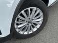 Skoda Kodiaq 1.5 TSI 150 DSG Ambition 7PL, avec Caméra et Virtu Blanc - thumbnail 4