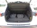 Mercedes-Benz EQA 250 EQA 250+ AMG Line Advanced NIGHT-PACK Bianco - thumbnail 7