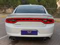Dodge Charger SXT 3.6 V6 Blanco - thumbnail 5