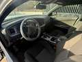Dodge Charger SXT 3.6 V6 Blanco - thumbnail 11