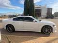 Dodge Charger SXT 3.6 V6 Blanco - thumbnail 8