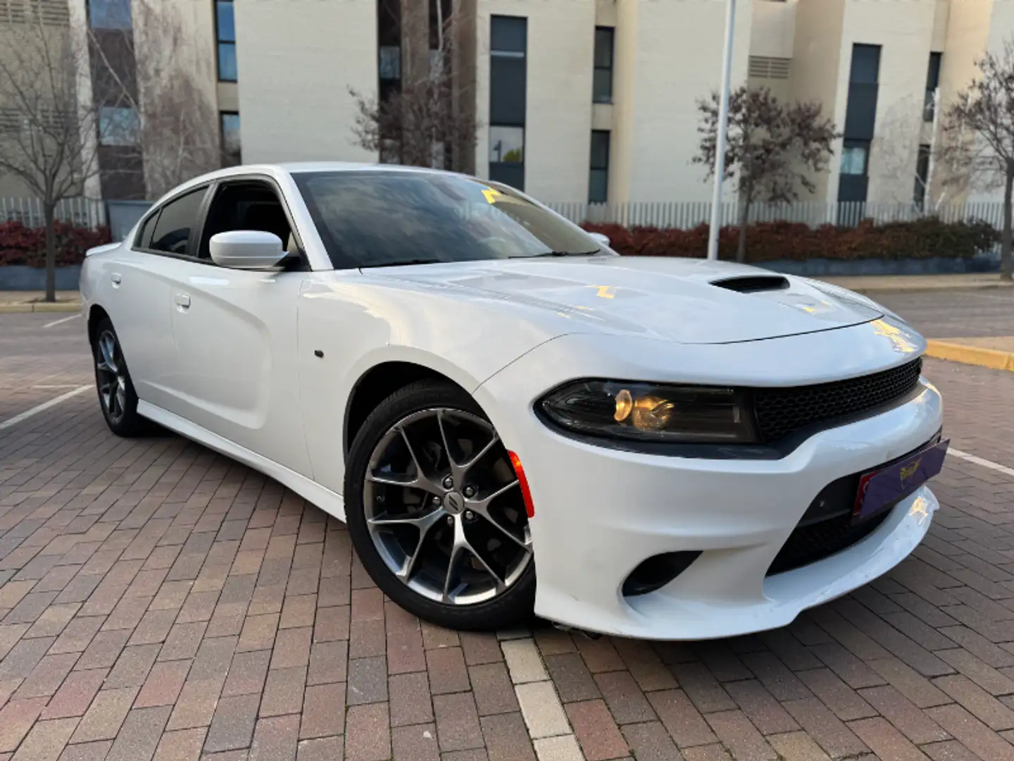 Dodge Charger SXT 3.6 V6 Blanco - 2