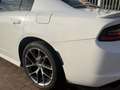 Dodge Charger SXT 3.6 V6 Blanco - thumbnail 7