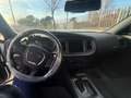 Dodge Charger SXT 3.6 V6 Blanco - thumbnail 10
