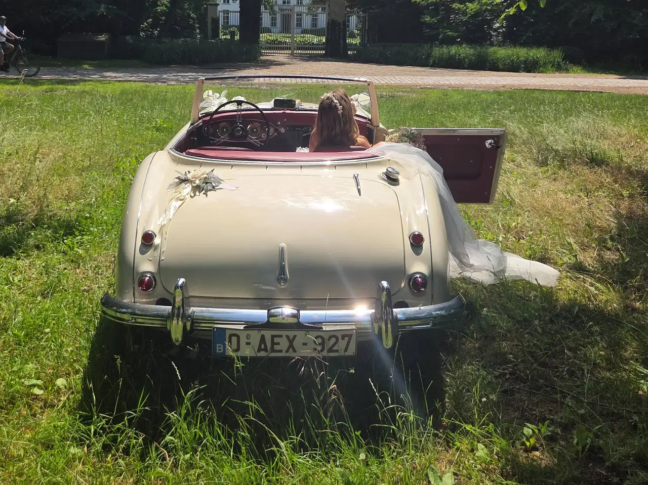 Austin-Healey 100 BN4 1958, foto 2