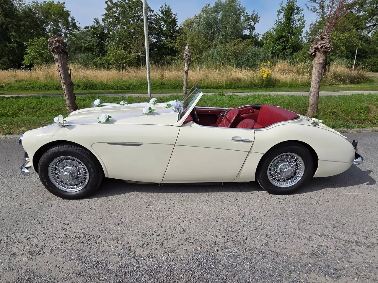 Austin-Healey 100 BN4 1958, foto 3