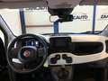 Fiat Panda Pandina 1.0 FireFly 65 CV Hybrid Cross MY25 Noir - thumbnail 11