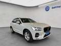 Volvo XC60 XC60 B4 Momentum-Pro Aut Google-Maps LED-Thors-Ham Wit - thumbnail 8