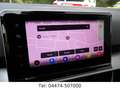 SEAT Tarraco FR Kamera 360° ACC 20Zoll Standh. AHK Vert - thumbnail 14