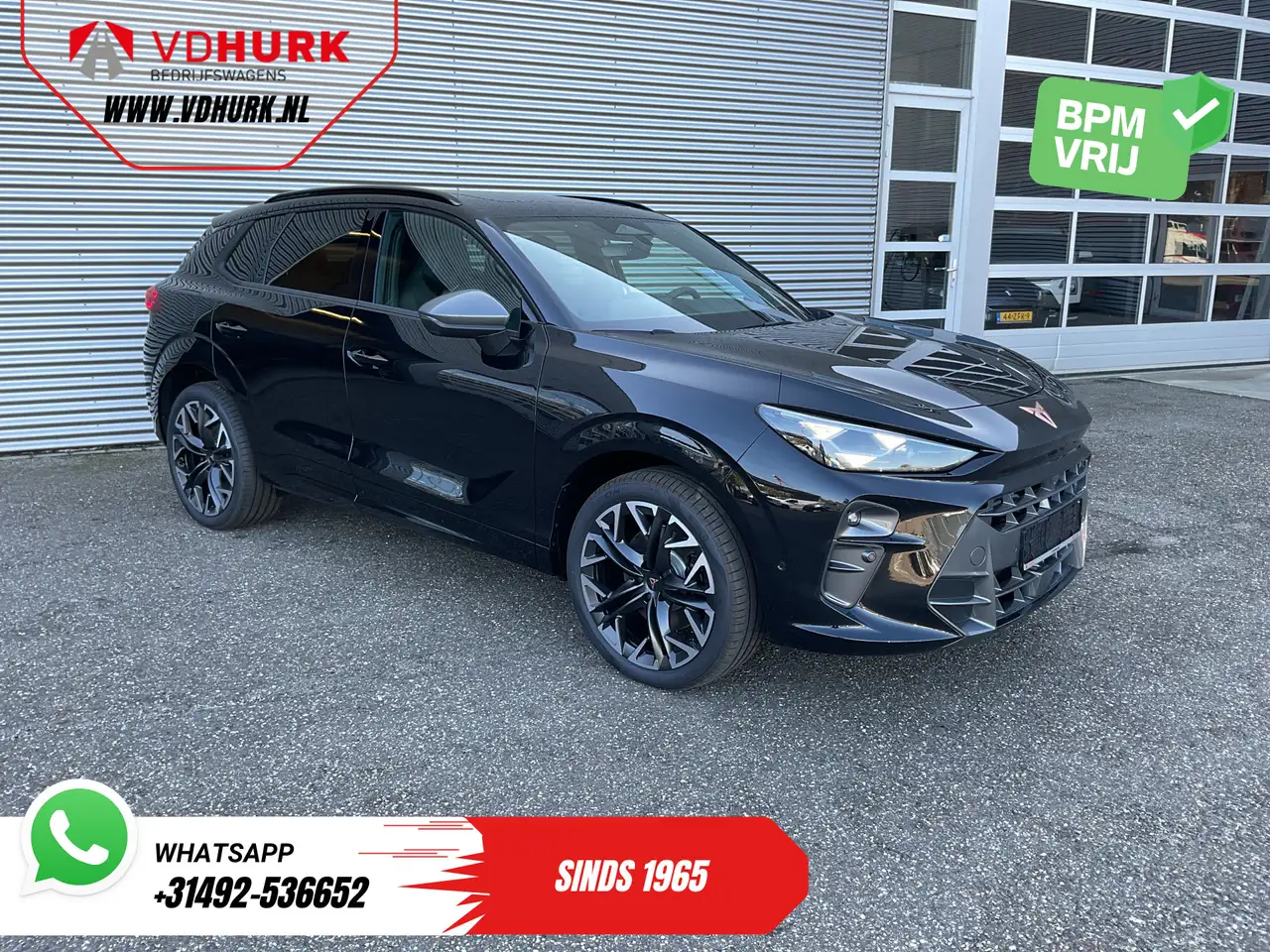 Cupra Terramar
