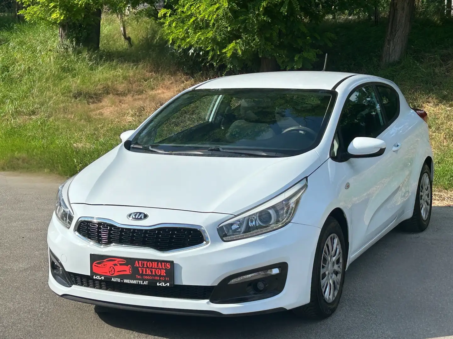 Kia ProCeed / pro_cee'd pro cee'd 1,6 CRDi Gold*12 Monate Garantie* Blanc - 2