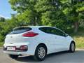 Kia ProCeed / pro_cee'd pro cee'd 1,6 CRDi Gold*12 Monate Garantie* Blanc - thumbnail 7