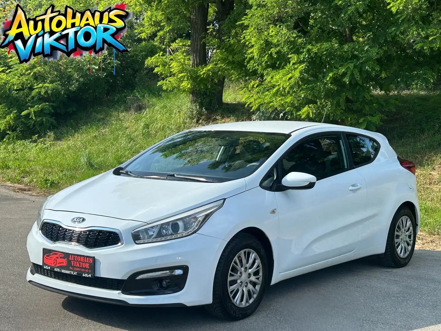Kia ProCeed / pro_cee'd pro cee'd 1,6 CRDi Gold*12 Monate Garantie* Blanc - 1